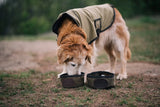 Frost River Dog Dish - Boo 921