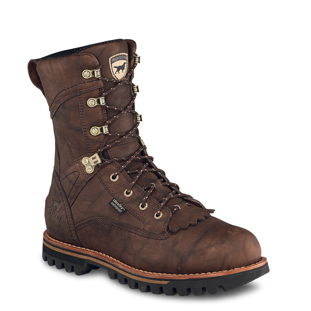 Irish Setter 861