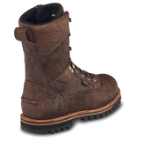 Irish Setter 861