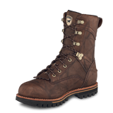 Irish Setter 861