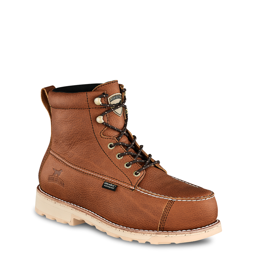 Irish Setter 838
