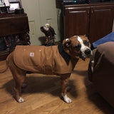 Carhartt Dog Chore Coat