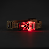 Carhartt LIGHTED DOG Collar