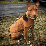 Carhartt Dog Chore Coat