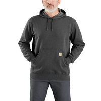 Carhartt TS0121 Loose fit MIDWEIGHT Sweatshirt