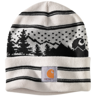 Carhartt AH5450 Outdoor Beanie