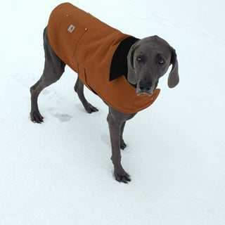 Carhartt Dog Chore Coat Pioneer Outfitters