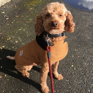 Dog clearance chore coat