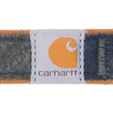 Carhartt BLANKET STRIPE Collar